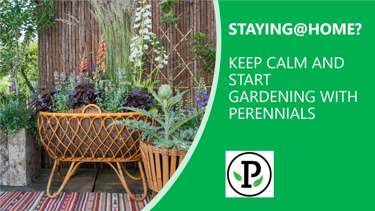 Staying@Home? Keep calm and start gardening with perennials