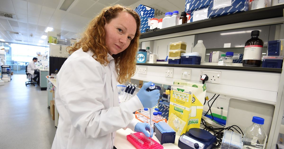 DefProcEng's tweet photo. A 10-minute #coronavirus test has been developed here in #Liverpool! 

An amazing achievement 👏

Find out more 👉https://t.co/bApoQKT0rx https://t.co/6A90KSrtxs