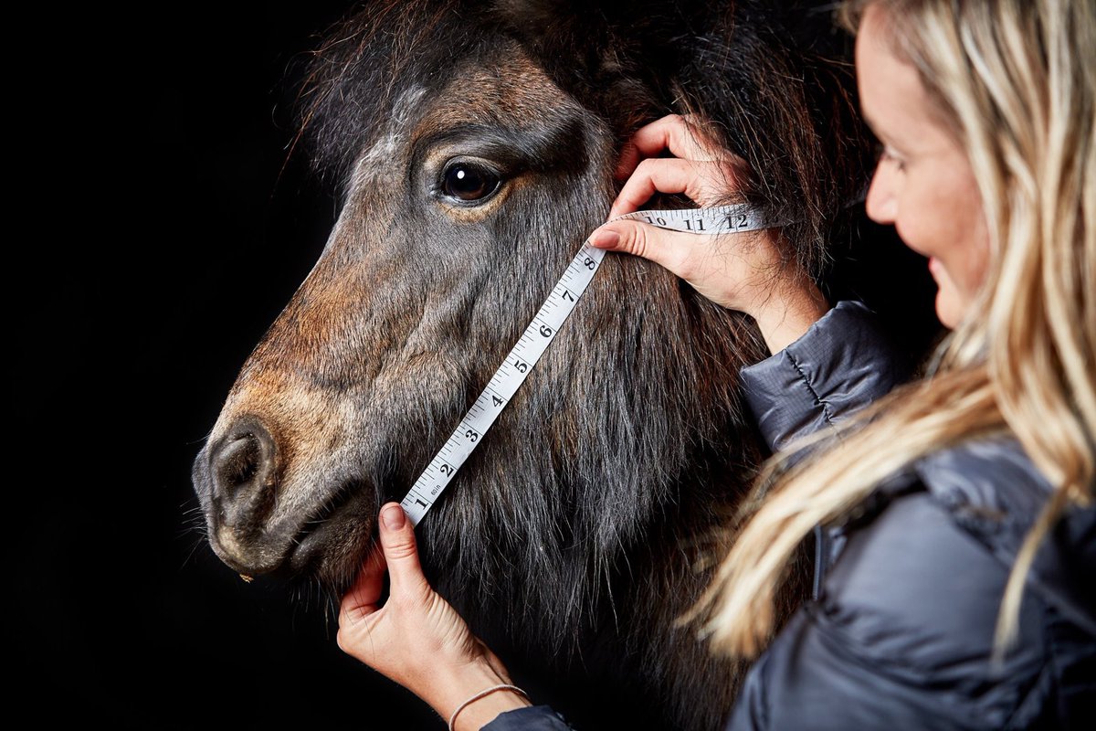 There were so many things we could have written about in this months blog however we feel "Staying busy to stay sane in this uncertain times" sums up how we are feeling just perfectly! 

Head over to: :

elevatorequestrian.co.uk/blog/post/stay…