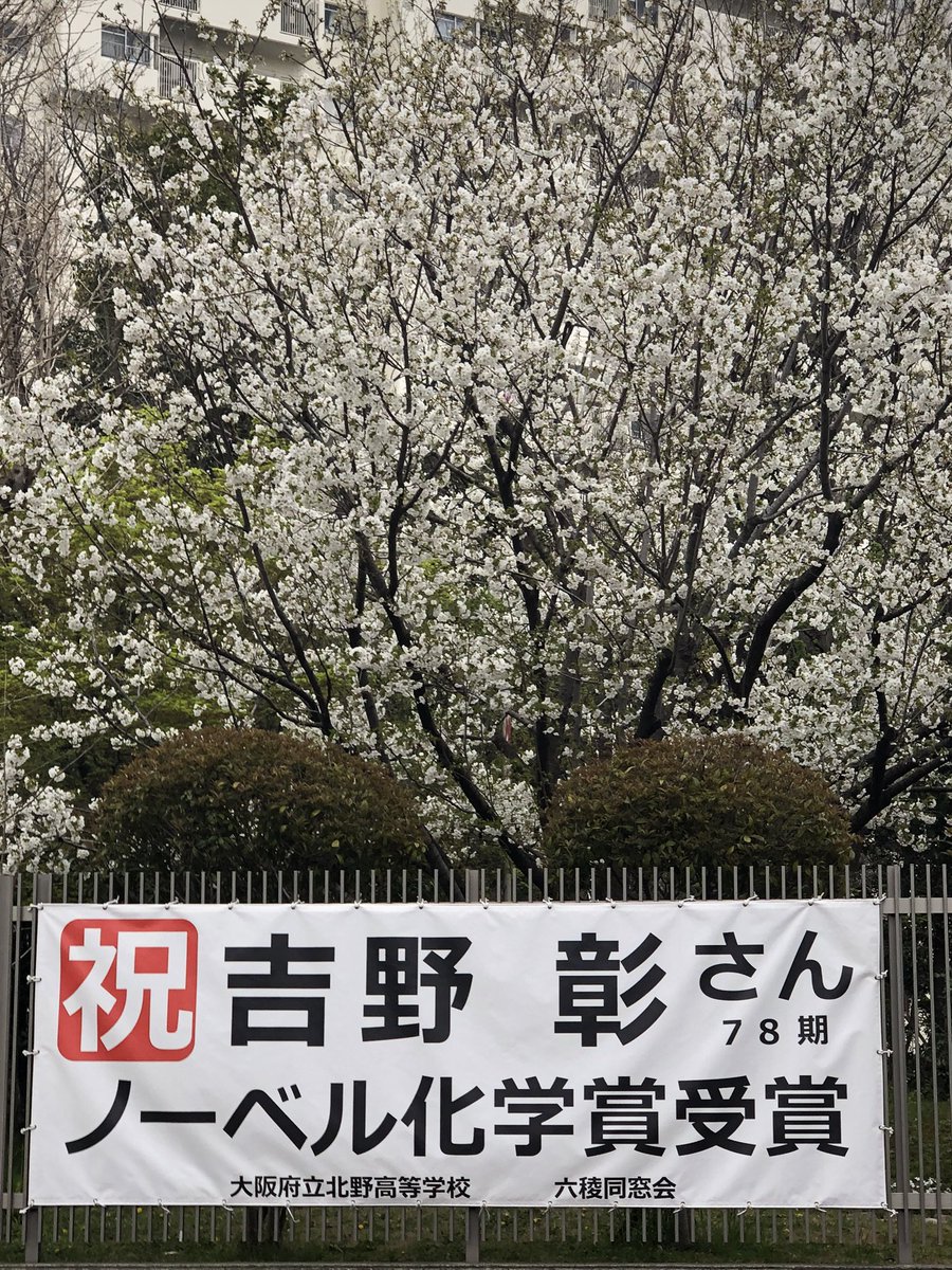 ノーベル 北野 賞 高校