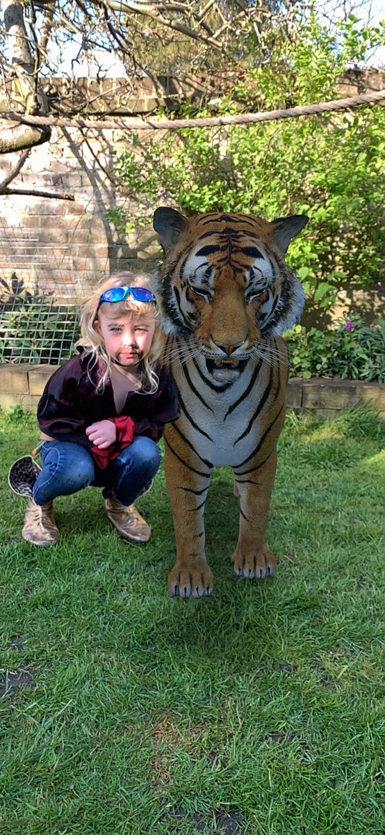 Lucy bridge tweet media