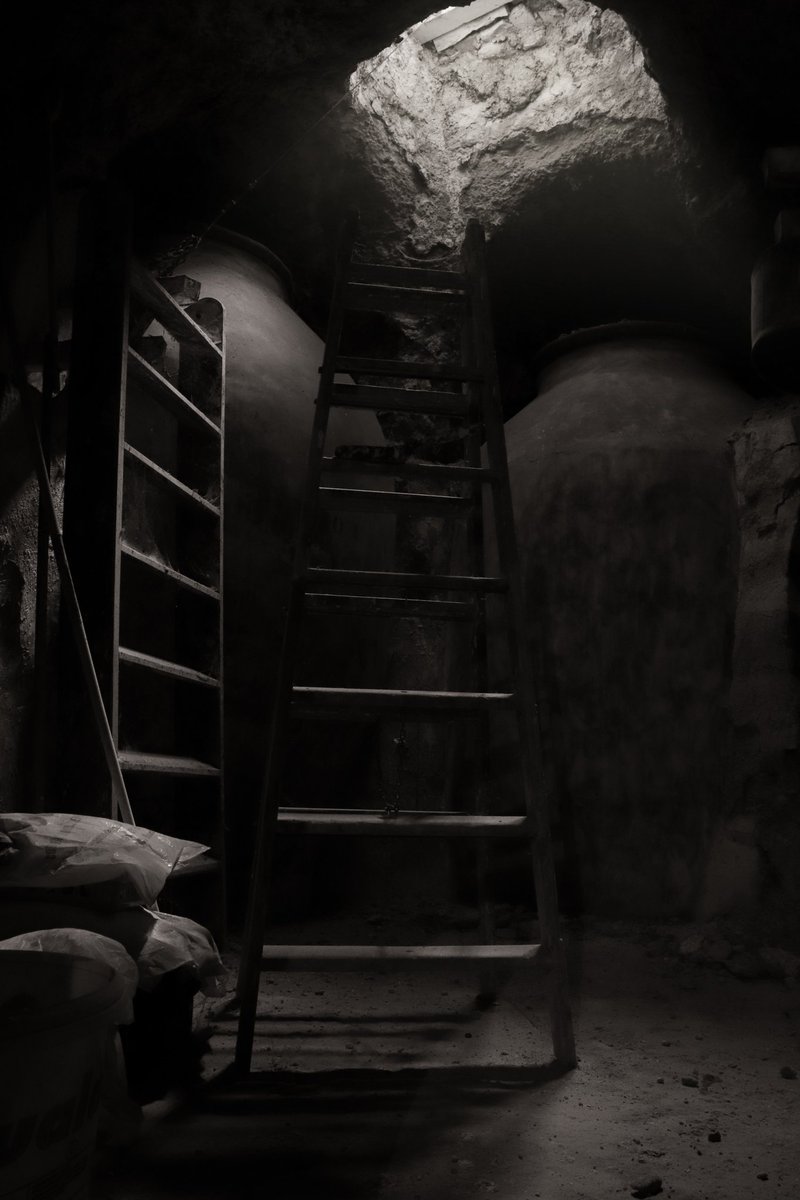 epsglux's tweet photo. Foto 1: "La Cueva" - Sergio Villalta (@/villaltalillo)

Foto 2: "Siempre el mismo día" - Ana Ruiz (@/sinclxxr)

Foto 3: "¿Cuánto tiempo ha pasado?" - José Ramón Ripoll (@/joserra8)

Foto 4: "Vas a tener que quedarte a dormir" (@/calu_lulu) https://t.co/UErKBLXywx
