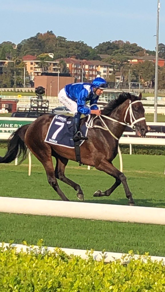 Polytan Asia Pacific tweet media