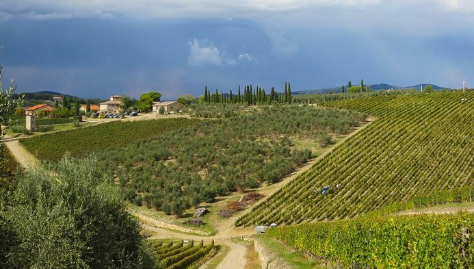 Vino espumoso italiano, en las burbujas está el gusto. | via <a href="/decantalo/">Decántalo</a> buff.ly/2T6Z9jL #vino #culturadelvino #bodegas #enoturismo #segovia #vinoymoda #wine #winelovers #maridaje #enoinfografia