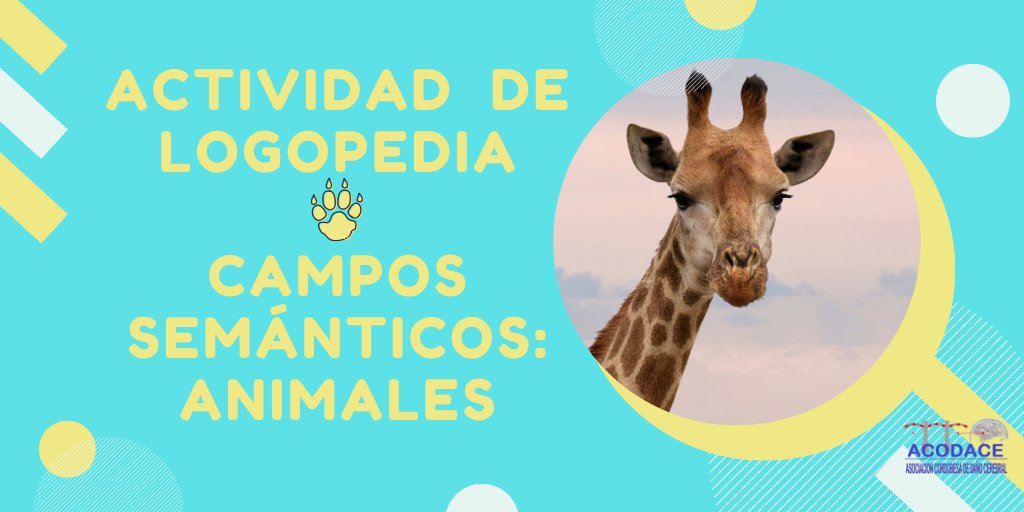acodace's tweet photo. ⚙️¡Seguimos trabajando!⚙️ Concretamente el lenguaje 🗣️ con estas fichas de animales que podrás descargar en el siguiente enlace:
https://t.co/qDzLDMMz2E
#dañocerebral #dañocerebraladquirido #dca #logopedia #lenguaje #acodace https://t.co/7Ks4ehQyPL