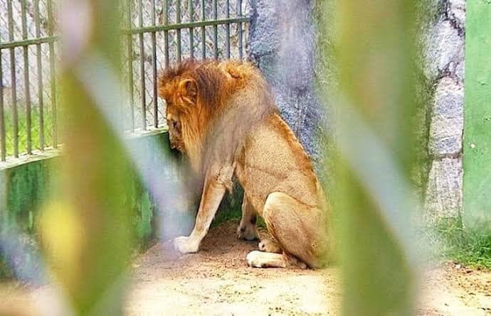 XposeTrophyHunt's tweet image. So let’s understand. 
We hate to do for a few weeks, what we force others to do for a lifetime...😔💔