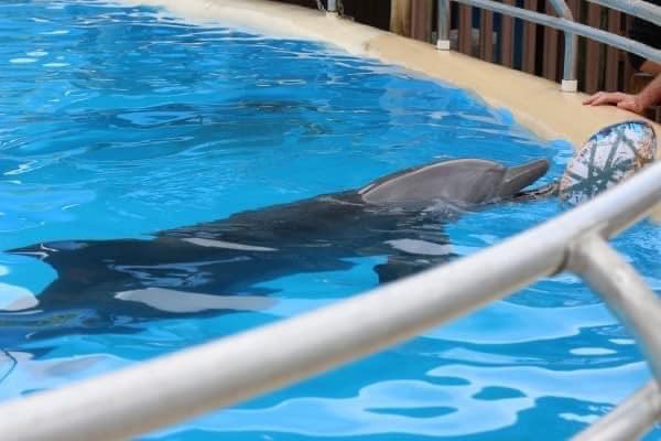 XposeTrophyHunt's tweet image. So let’s understand. 
We hate to do for a few weeks, what we force others to do for a lifetime...😔💔