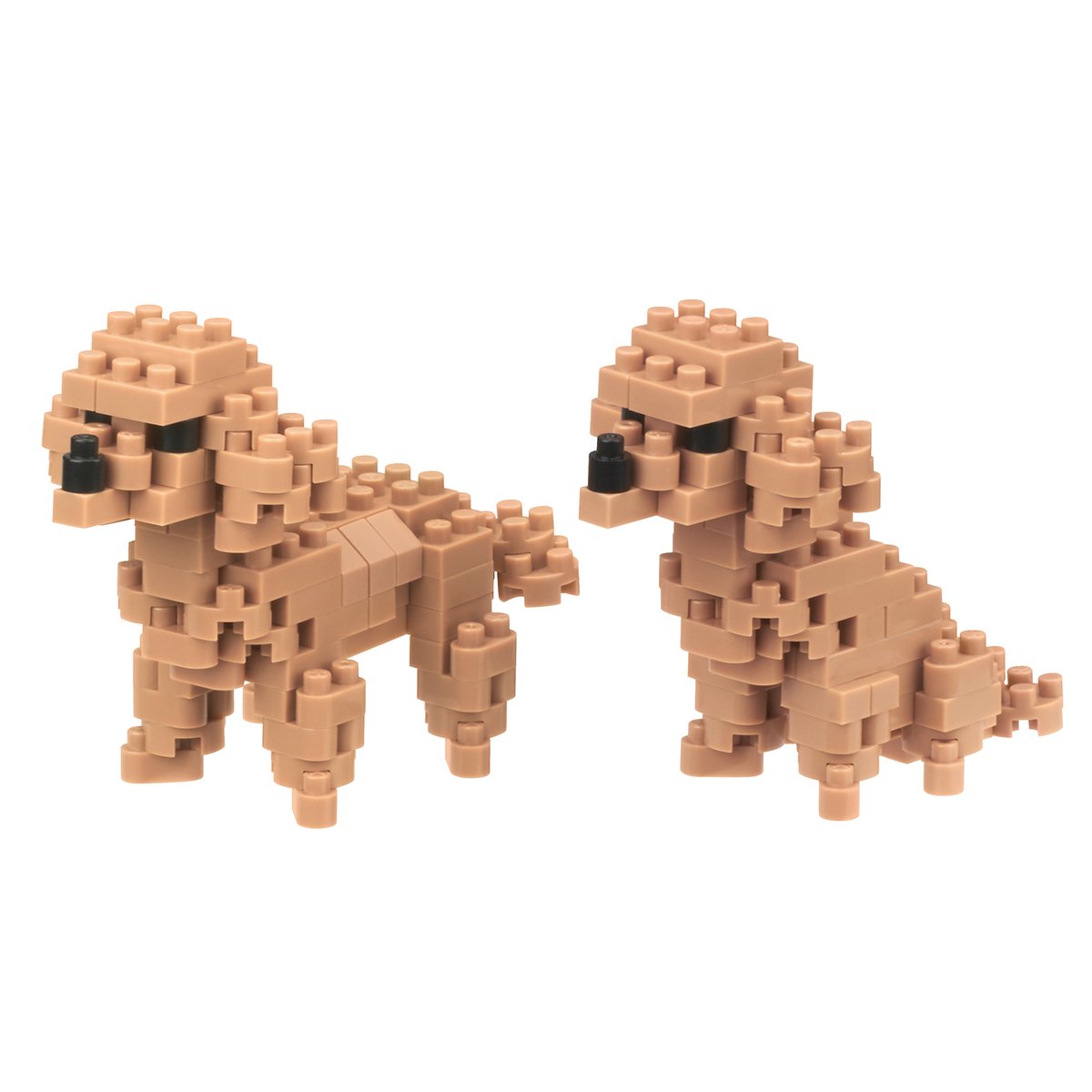 It's tuesday, I think, quarantine days roll in to one 😥 remember 2 metres apart! 

A fun way to remember:
- 500 of the smallest Nanoblock parts
- 62.5 of the biggest Nanoblock parts

These poodles are too close together...

#socialdistancing #tuesdaythoughts #dogs #poodle #toys