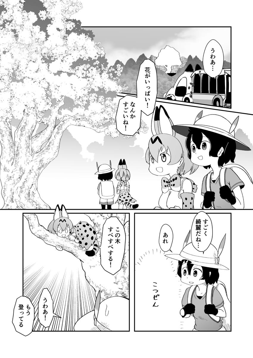 おはなみちほー #けものフレンズ 