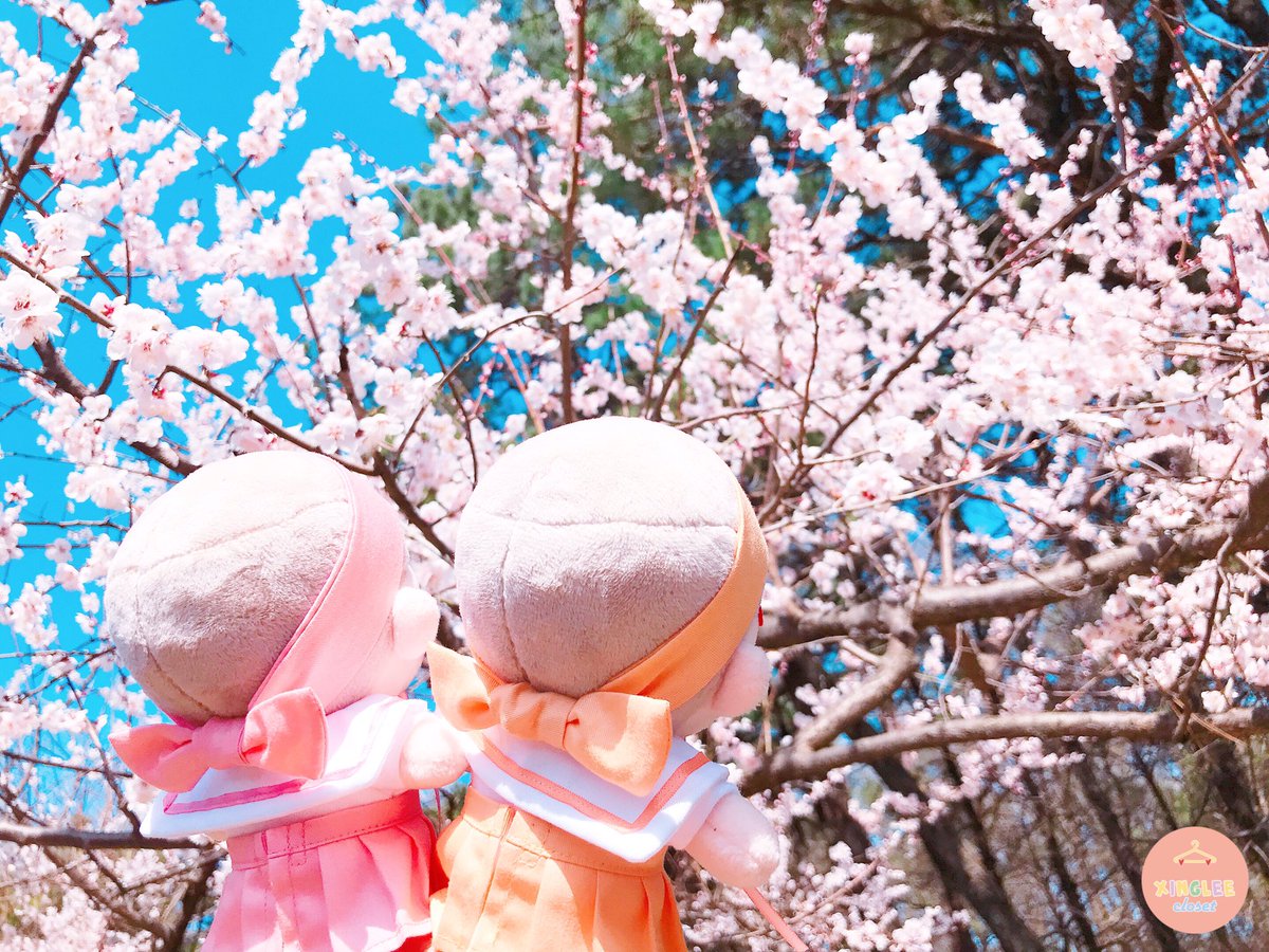 XingleeCloset's tweet photo. RT+팔로우) 씽그리옷장 상시판매 재오픈₍ᐢ•ﻌ•ᐢ₎

상시판매폼은 쁘띠살롱세트를 시작으로 기존제품, 신상품이 주기적으로 추가되니 많은 관심 부탁드려요ʕ •ᴥ• ʔ

✨씽그리옷장을 팔로우하고 이 글을 알티해주신 두분께 쁘띠살롱세트를 선물로 드려요🛍

판매폼📎 https://t.co/3FGiuZ5mRK https://t.co/ZbROsJWrOT