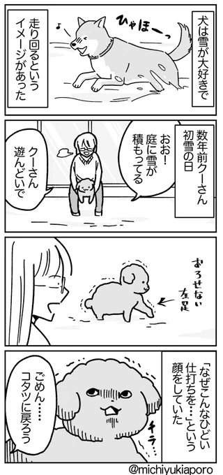 うちの犬は雪ではしゃがないタイプ。 