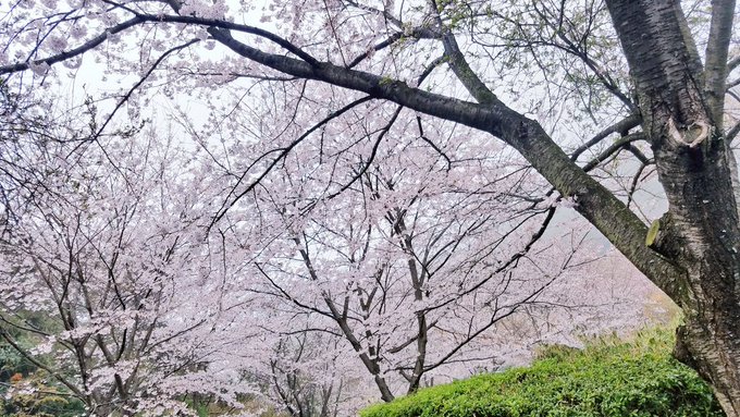 Twitterのコスプレ画像9