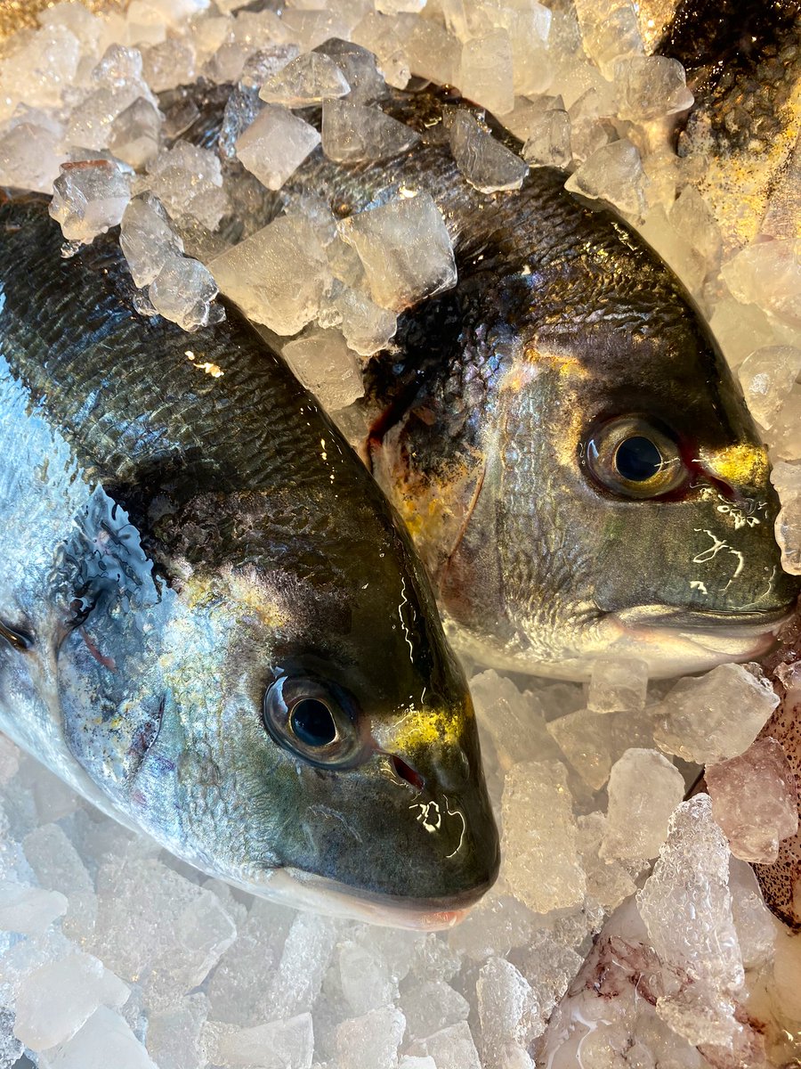 TheEasyFishCo's tweet image. Still some quality fish about - open in the shop Tuesday - Saturday this week until 4pm everyday. Also taking delivery orders. Keep the fishing industry going #shoplocal #easyfish #fishmongers #heatonmoor 🐟