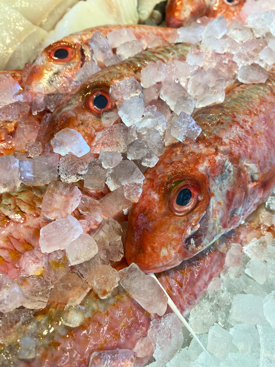 TheEasyFishCo's tweet image. Still some quality fish about - open in the shop Tuesday - Saturday this week until 4pm everyday. Also taking delivery orders. Keep the fishing industry going #shoplocal #easyfish #fishmongers #heatonmoor 🐟