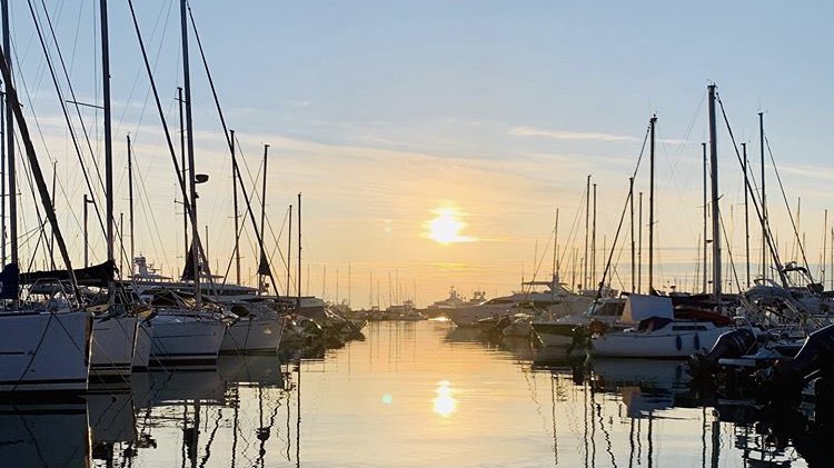 PortVauban's tweet photo. Un #joli lever de soleil sur le #PortVauban ✨ #RestezChezVous @antibes_jlp @AntibesTourisme https://t.co/DDwKlxqlZr