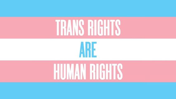 JoinMetaswitch's tweet photo. Today is International #TransDayOfVisibility, a day to celebrate trans identity and diversity, and raise awareness about the discrimination the trans community faces around the world. #TDoV

At Metaswitch, we are proud to stand with trans people. #TransLivesMatter https://t.co/e36UHl6KCo