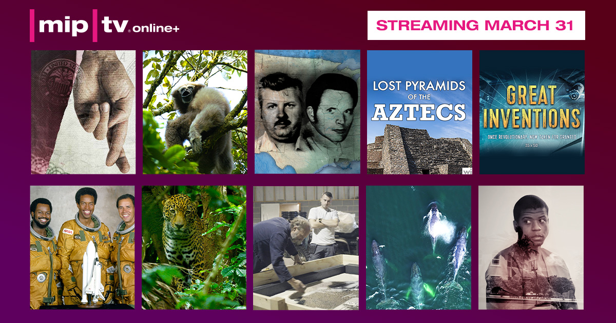 An Ape with an App, Bansky Most Wanted and Black in Space: Breaking the Color Barrier are just three of the 10 outstanding docs you can check out right now in #MIPTV Online+'s Factual Content Showcase!

Access via miptv.com