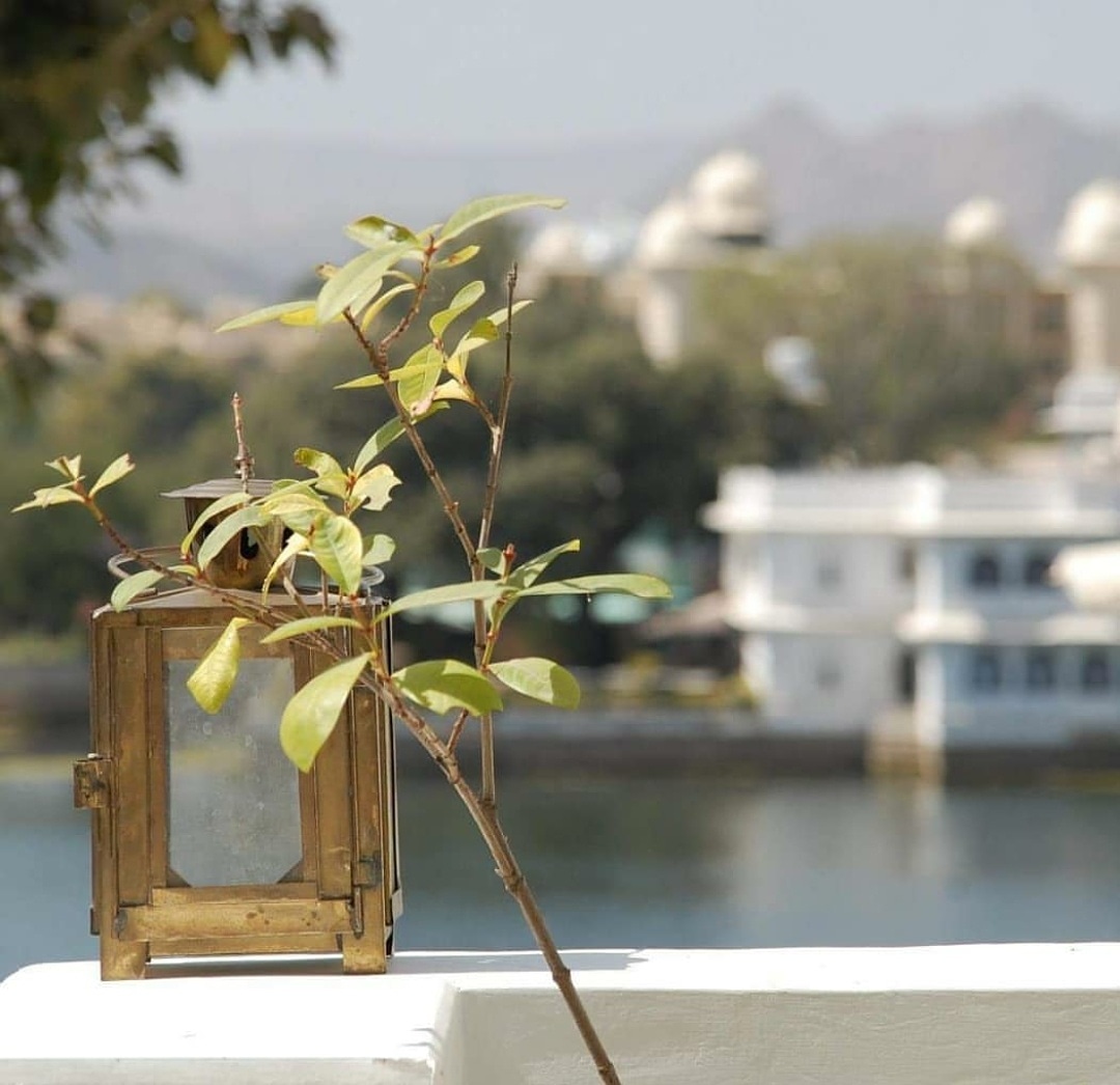 Rosie's Retreat, #udaipur very much looks forward to welcoming guests when this is over 🙄 #airbnbsuperhost #travel #india #boutiquestays #romanticplaces #lakefacingapartment #fuckoffcorona