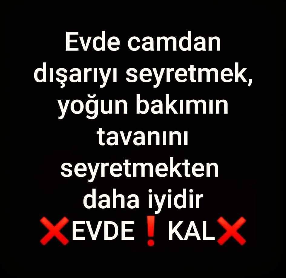 timur yılmam (@timuryilmam) on Twitter photo 