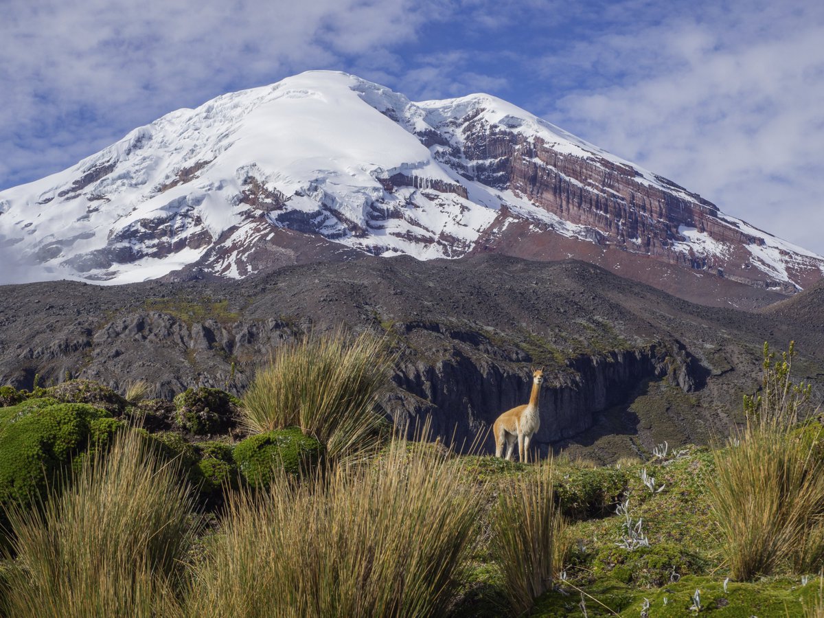 EPFL_en's tweet photo. The #VanishingGlaciers team studies the microbes living in glacier-fed streams, here in Ecuador. Keep in touch with their stories on https://t.co/9ilFBkhFQ2 and https://t.co/Q9LI4dqaQc #EPFLOutThere @epflENAC https://t.co/uppNjkQK0y