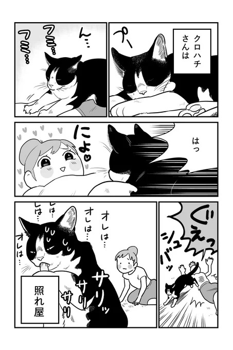再掲「ねこレンタルサービス」②(2/2)
次話はまた明日 