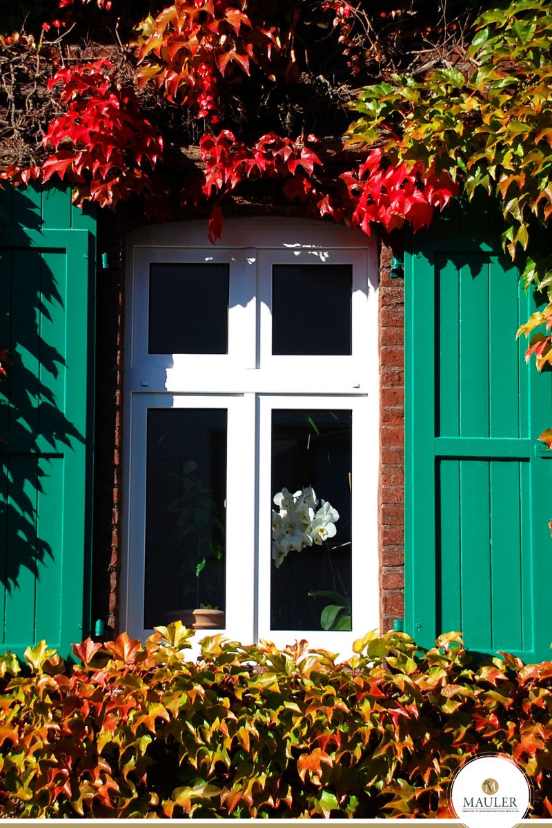 LeTerrierBlanc's tweet photo. Der #Frühling ist da, jetzt ist die perfekte Zeit, um Ihre #Fenster und Außentüren zu schützen 🍁
Die No Limit #Allesfarbe #Outdoor ist eine extrem widerstandsfähige Außenfarbe, die leicht aufzutragen ist und eine unbegrenzte Auswahl an #Farben bietet: https://t.co/0dcztE4RdL https://t.co/2y8632mi38