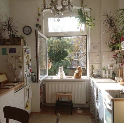 annflxke's tweet photo. yo solo pido una cosa y es vivir en una casita asi https://t.co/q52yMxRrQw