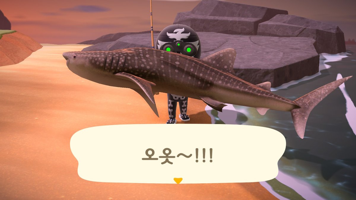shinheee1's tweet photo. #동물의숲 #AnimalCrossing #ACNH #NintendoSwitch https://t.co/iIXoI6omN5