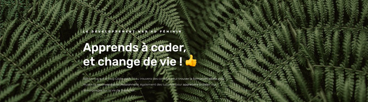 Oclock_io's tweet image. Sara - ancienne étudiante de l'école O'clock - vient de sortir son blog : codeuse.fr , le développement web au féminin.
On va suivre ça de très près 👀
Bravo à toi @khammileon 👏
#codeuse #développeuse