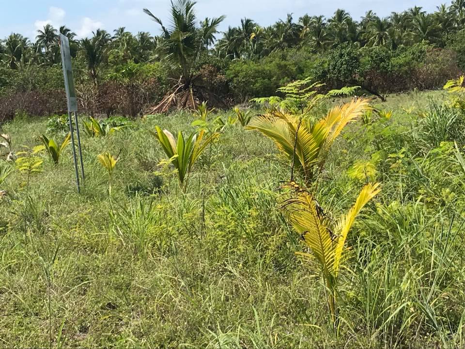 AwdiAddu's tweet image. Alhamdhulilaah
18th Month❤️