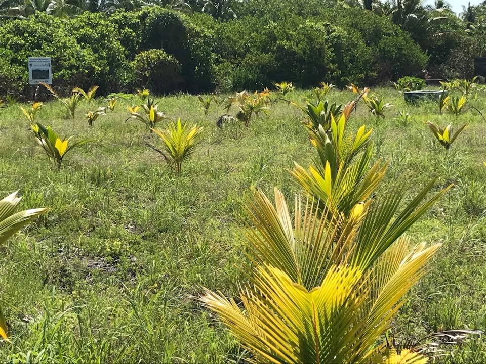 AwdiAddu's tweet image. Alhamdhulilaah
18th Month❤️