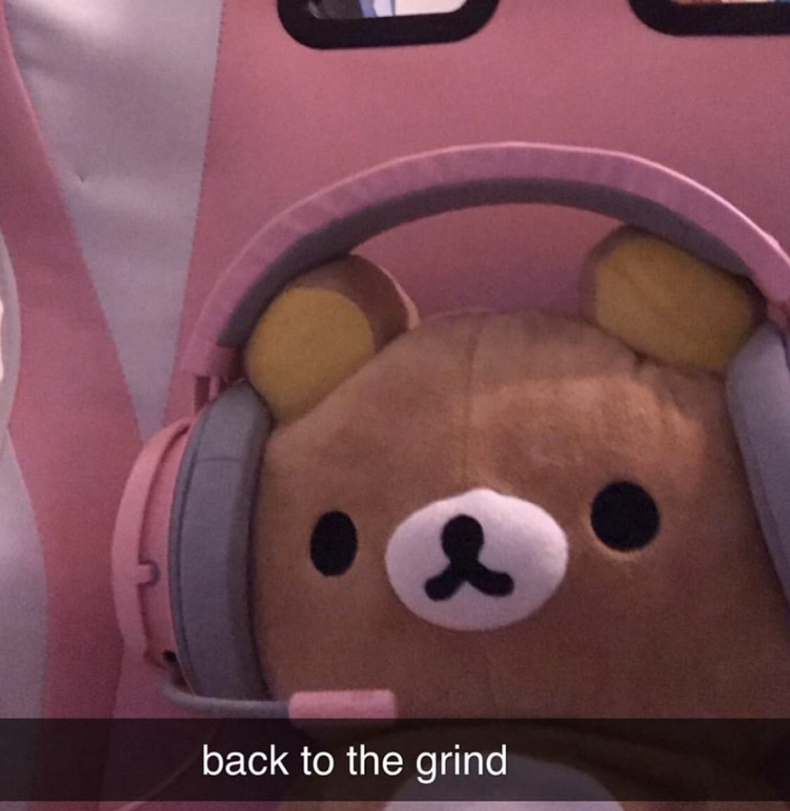naominikola's tweet image. me, every time i wake up and go straight to playing animal crossing