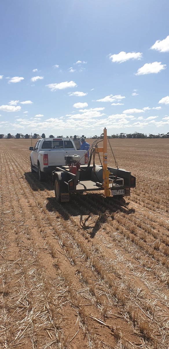 jack_flavel's tweet photo. Soil sampling in the Southern Vic  Mallee for N and P tests to help future fertiliser decisions. Great to see some good amounts of sub soil moisture, hopefull for a good season. (Touch wood) @apallabs https://t.co/r7mW1C5kLw