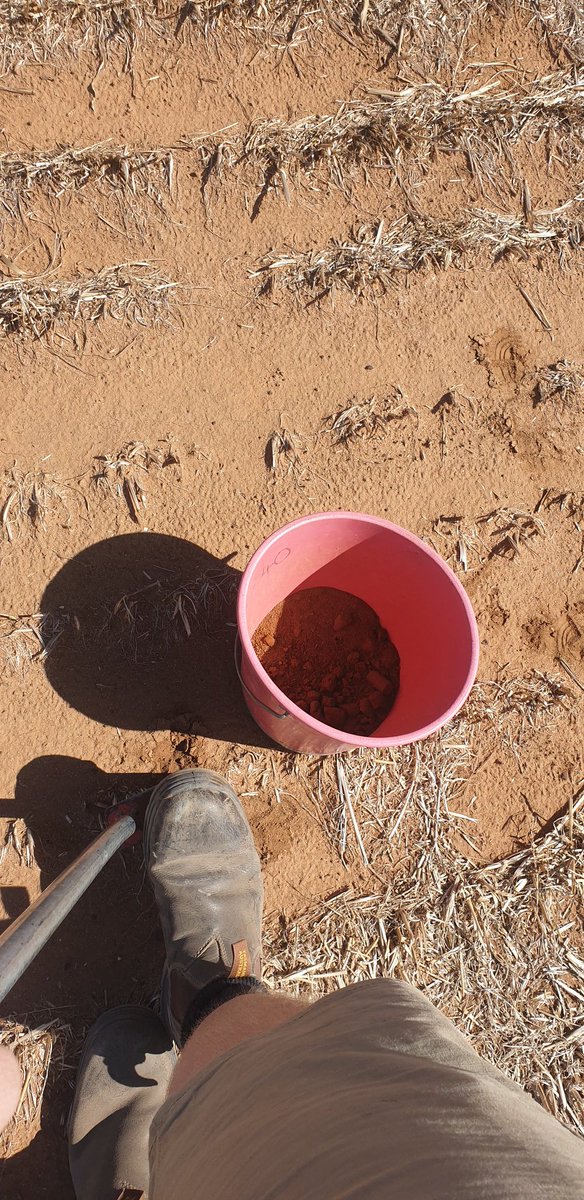jack_flavel's tweet photo. Soil sampling in the Southern Vic  Mallee for N and P tests to help future fertiliser decisions. Great to see some good amounts of sub soil moisture, hopefull for a good season. (Touch wood) @apallabs https://t.co/r7mW1C5kLw