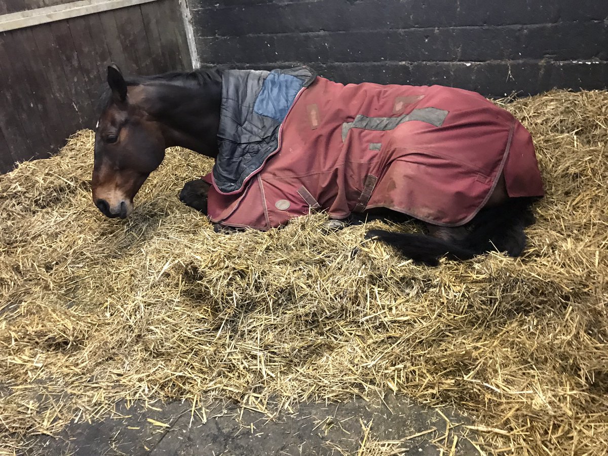 David Doel tweet media