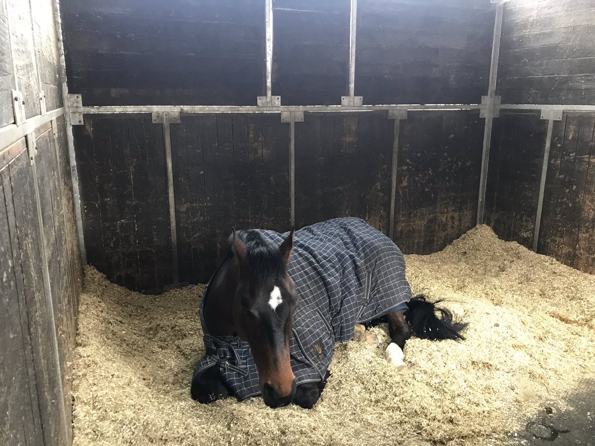 David Doel tweet media