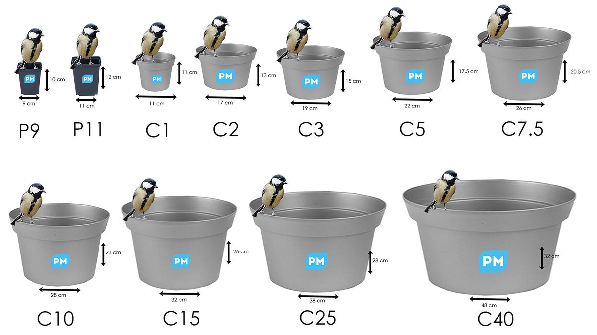 In ieder potje past een plantje.... Hieronder een handig overzichtje! 😄🌱🌷
_________________________________________
There are plants for every pot size... Below you find a nice overview! 😄🌱🌷 #plantmarket #potsize #stayhomechallenge