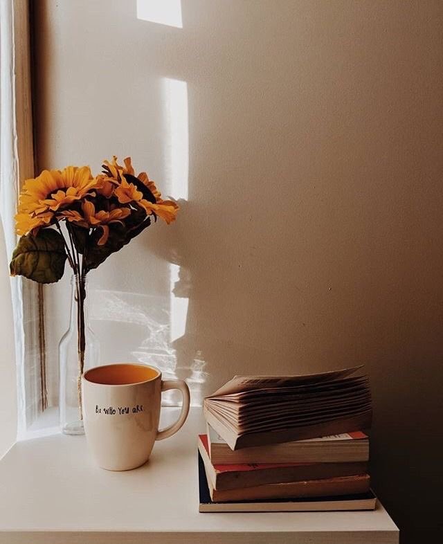 UndauntedAbbott's tweet photo. ❝𝐓𝐡𝐞𝐫𝐞 𝐢𝐬 𝐛𝐫𝐚𝐯𝐞𝐫𝐲 𝐢𝐧 𝐛𝐞𝐢𝐧𝐠 𝐬𝐨𝐟𝐭.❞

» Hᴀɴɴᴀʜ Aʙʙᴏᴛᴛ/Lᴏɴɢʙᴏᴛᴛᴏᴍ. 

» Gᴏʟᴅᴇɴ Tʀɪᴏ Eʀᴀ ﹠ Pᴏsᴛ. 

» Sᴇᴇᴋɪɴɢ SLs ﹠ Bᴀɴᴛᴇʀ. 

» Sᴄʀɪʙᴇᴅ ʙʏ #ᴀɴɪᴍᴀ. https://t.co/c4HuMeAijs