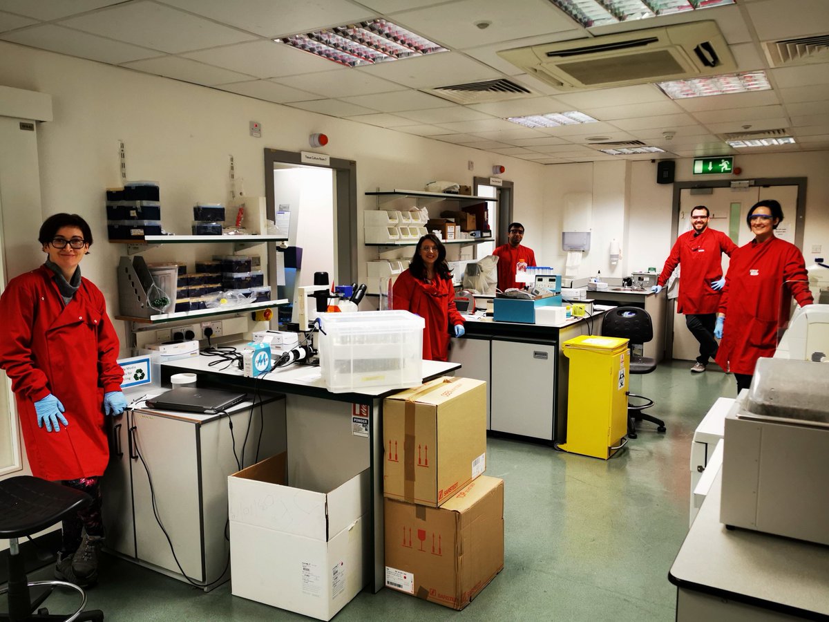 RCSI_Irl's tweet photo. We are very proud of our @RCSIPharmBioMol team who are  preparing essential #COVID19 swab buffers for @HSELive. 

This work will facilitate 10,000 more tests. 

#HealthcareHeroes #COVID19ireland https://t.co/J1IWWlezVc