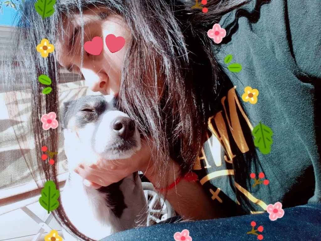 stephania_bubu's tweet photo. I miss u so muuuch my little baby🥺💜 https://t.co/22iWIECAyE