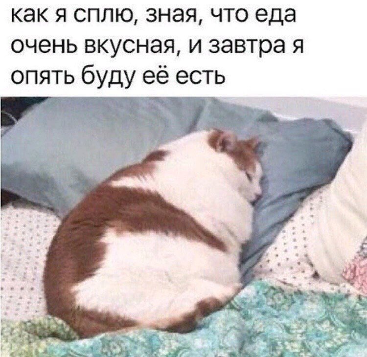 MEMES👸🏼 (@memesforwomen) on Twitter photo 