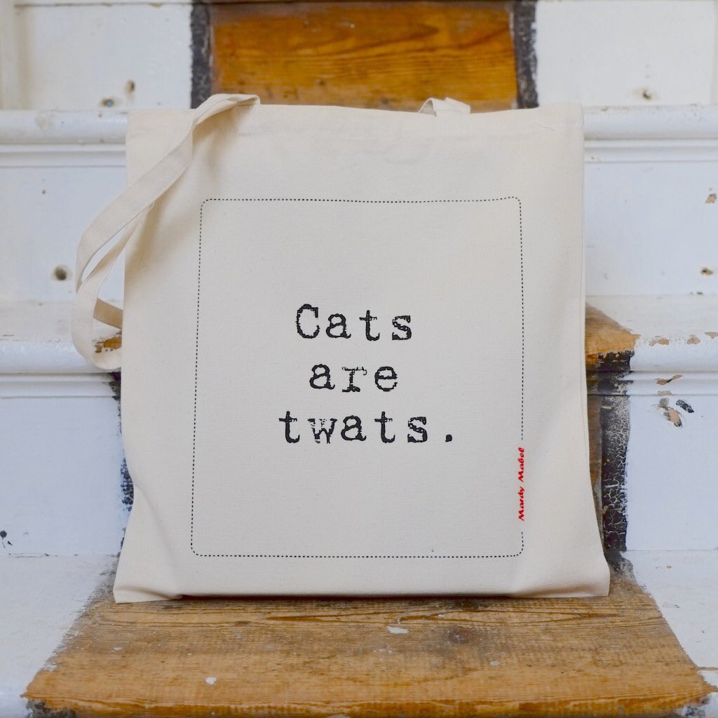 MardyMabel's tweet photo. We all know at least one.

#cats #catsaretwats #mardymabel #lockdown https://t.co/EXDNLgAtJK