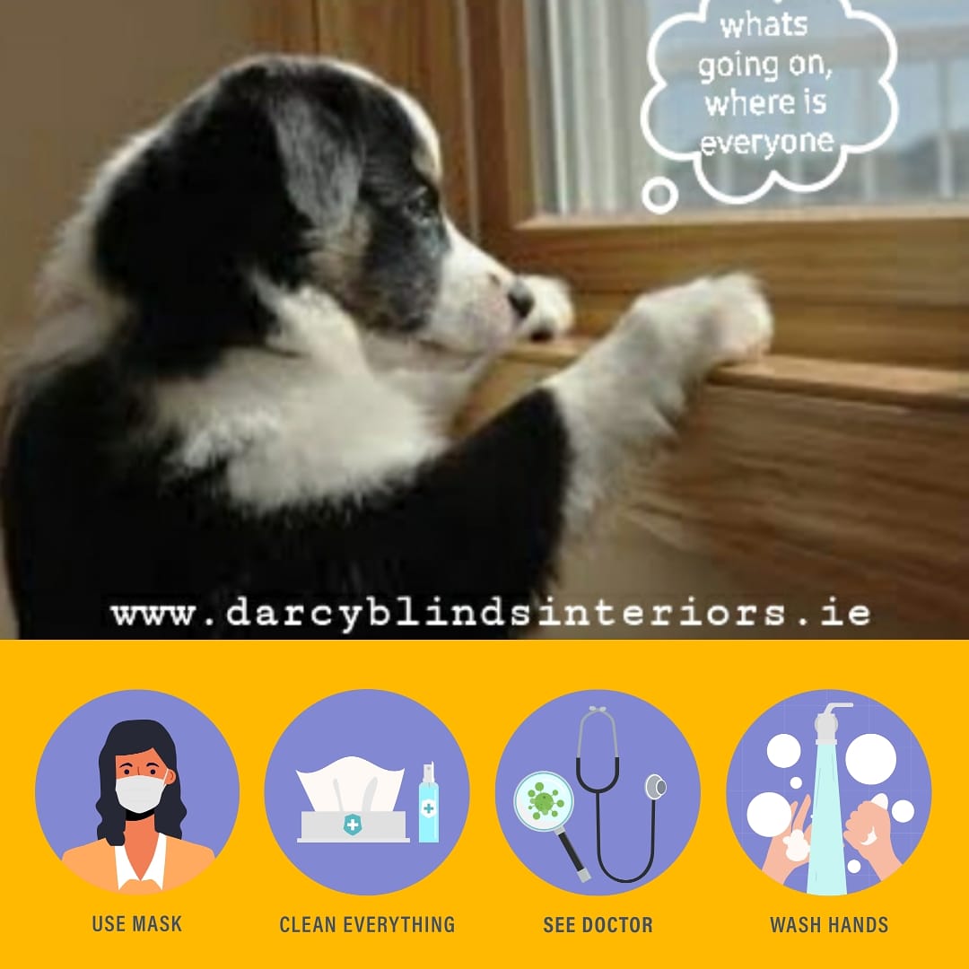 TDBlinds's tweet photo. What must our pets make of the lockdown. 
They must be wondering 
what's going on by now?
🐾👀👁👁👀🐾 #pets #wexford #lockdown
#covid19  #covid19wexford #washyourhands #Blinds #blindsenniscorthy #bordercollie #dogs #cats #enniscorthy  #enniscorthytown https://t.co/Pfw8oqOQ8N
