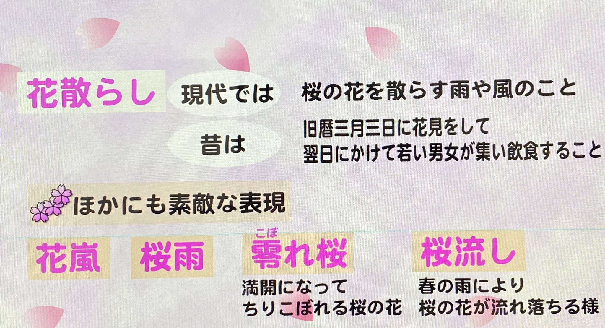 蓬莱大介 読売テレビお天気 花散らしというのは 昔は夜通し飲み会することで ちょっとした隠語のようなものだった説が 今は花散らしの雨と普通に使ってますけどね まあ 今年は若者よ 花散らしは