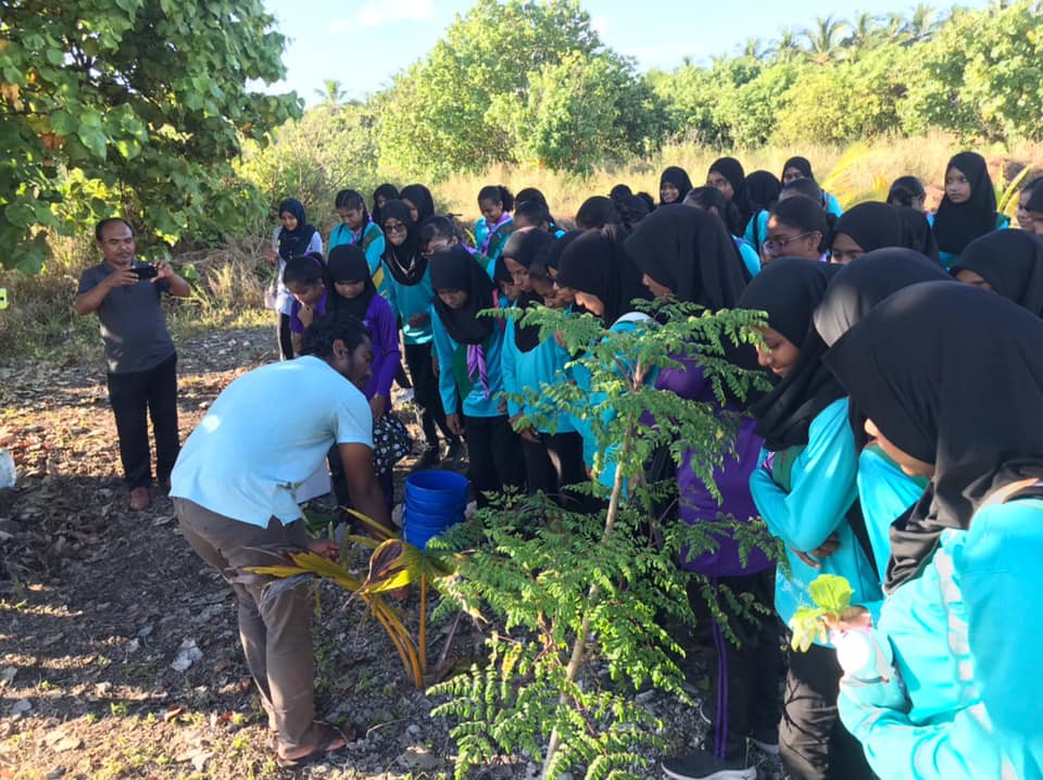 AwdiAddu's tweet image. Making environment greener and planting coconut palm trees is grant given to AWDI by gef sgp and now the trees are 2 years and 8 months! Due to the difficulties we kept facing because of the dinasour beetles we wrote to the agricultural ministry and ...