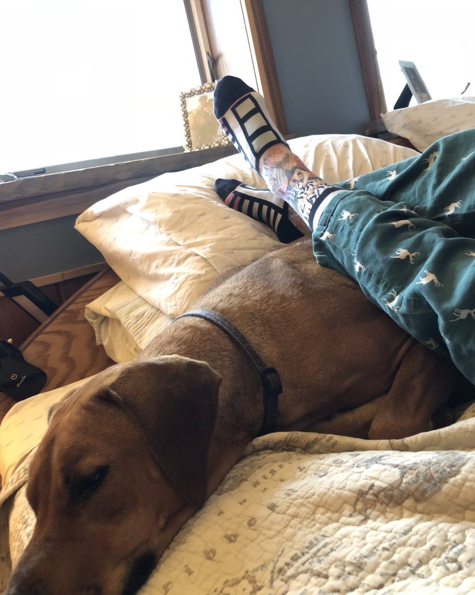 downey_dog's tweet photo. Spirit week!
Crazy socks AND PJs!! (+❤️dog)
#ThisisKRHS
@KRHSBosworth https://t.co/QdaWzP9wHs