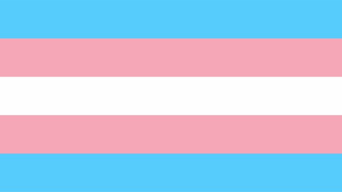 CommunityYC's tweet image. On #TransDayOfVisibility, we support the whole trans community and are proud that we are in a position to raise awareness.

Our work with inclusive clubs is incredibly important to us and we cannot wait to be back out in the community.