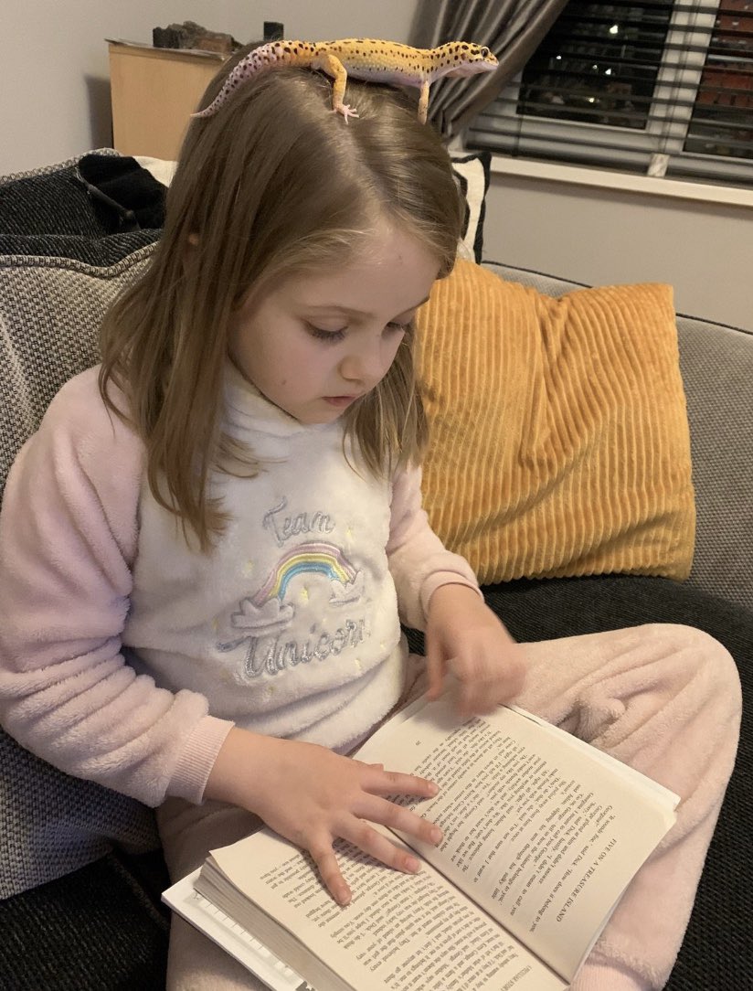McclymontMiss's tweet photo. Ebony-Rose’s favourite way to read. This really made me smile 😀 #homelearning #loveofreading #readingbuddy https://t.co/ZTzplBMhDw