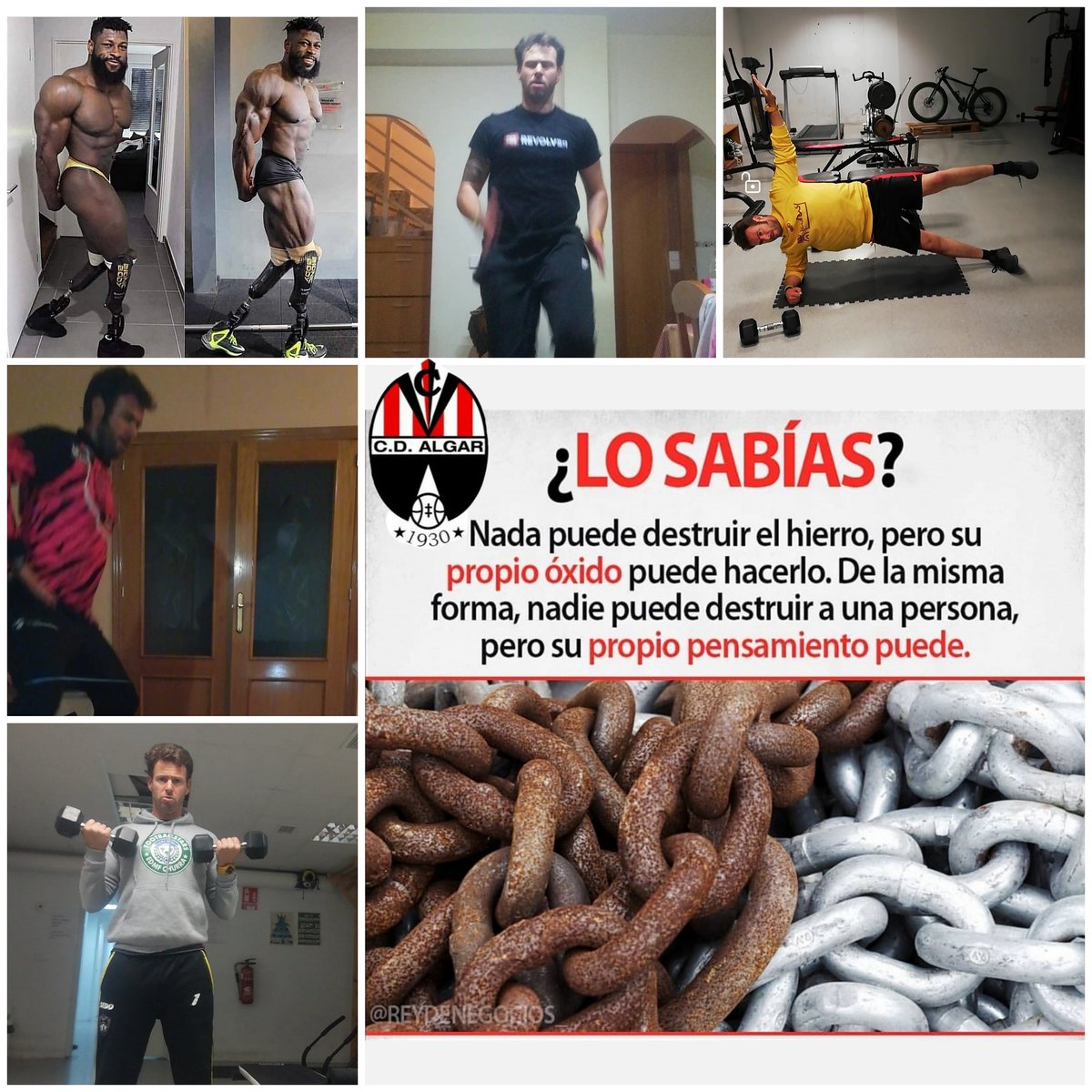 Diego_Segado's tweet photo. Vamos con ese pensamiento positivo!!!
Que el confinamiento no te oxide!!!
Cuándo vas a tener más tiempo para entrenar, cocinar y descansar???
Tu cuerpo no levanta lo que tu mente no soporta!!!
@CD_Algar #cdalgar #leones #stopexcusas
#yomequedoencasa #yoentrenoencasa https://t.co/r17lLWN8p4