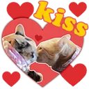 AnneKruger4's tweet photo. @Cuperlysebasti1 https://t.co/3aijMdECBv